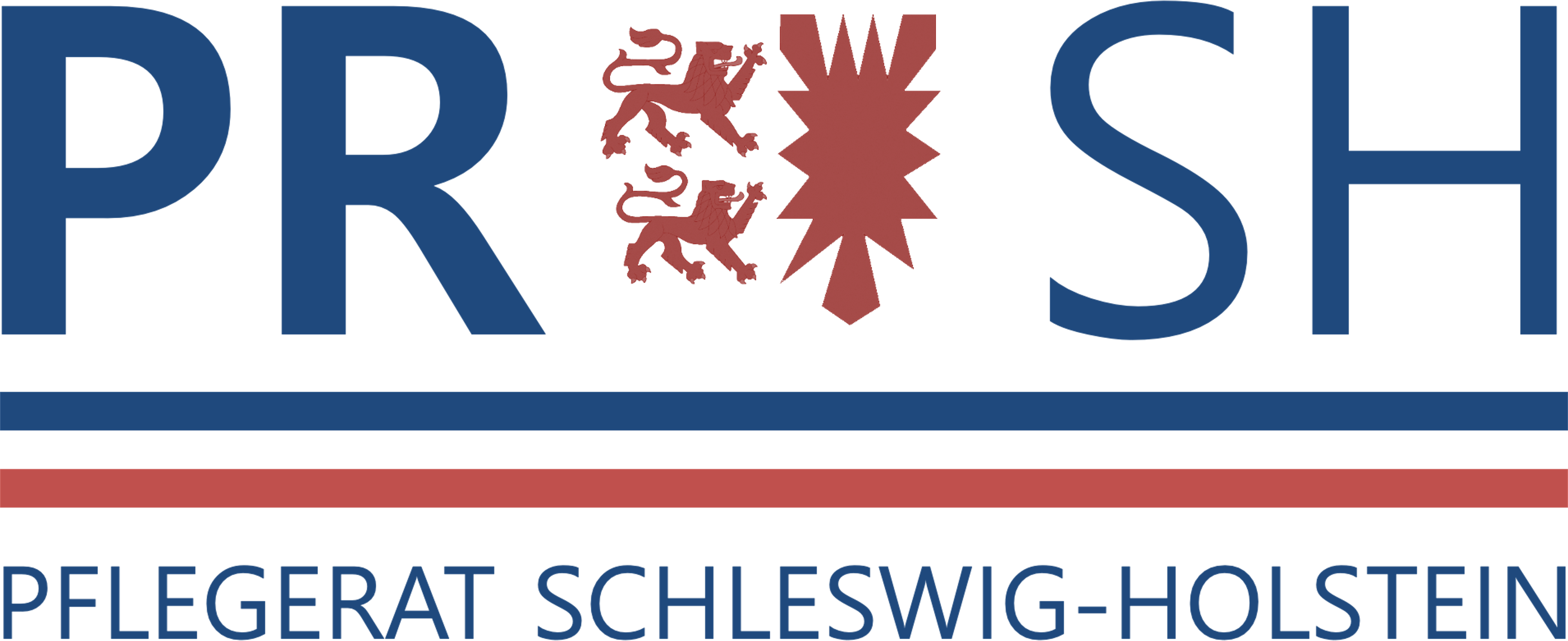 Pflegerat Schleswig-Holstein